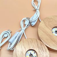 Lampe de chevet en bois alimentée par USB, lumière blanche chaude, écologique, lampe de table décorative, design moderne, décoration de chambre à coucher
