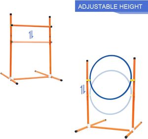 Equipo de Entrenamiento de Agilidad para Perros, Kit de Iniciación para Pista de Obstáculos Interior y Exterior, Logotipo Personalizado, Entrena a tu Perro, Azul - Product Image 5
