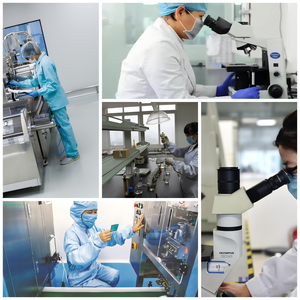 Độ tinh khiết cao Radix quinquefolii chiết xuất | giàu Polysaccharide & ginsenosides | cung cấp số lượng lớn cho chăm sóc sức khỏe - Product Image 6