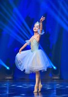 Gaun Tutu Balerina Tari Balet Giselle Merah untuk Anak Perempuan Wanita Kostum Pertunjukan Panggung Gaun Menari Balet Panjang