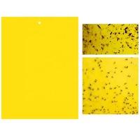 Autocollants adhésifs pour plantes d'intérieur, plaques jaunes double face à haute viscosité, sans danger et sans produits chimiques nocifs