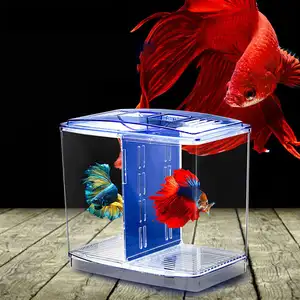 Desktop Betta Fish Tank Fokken Isolatiedoos 2 In 1 Dubbele Doos Visbenodigdheden Guppy