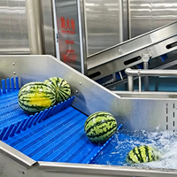 Automatische turnkey watermeloen sapverwerkingslijn complete set apparatuur extractor tubulaire UHT sterilisator aseptisch vulsysteem 10