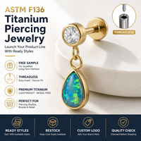 Kaishee 16G Piercing Labret sans filetage en Titane G23 de qualité implantable avec Zircon ASTM F136