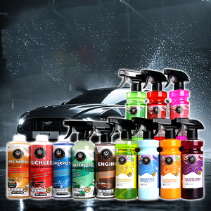 Kit OEM ODM Personalizzato da Fabbrica per la Cura e il Lavaggio dell'Auto da 12 Pezzi Set per Detailing Auto con Panno in Microfibra Guanto da Lavaggio e Detergente per Ruote e Motore - Product Image 2