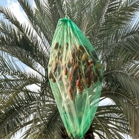 Direct van de fabriek: op maat bedrukte groene dadelpalmgaas zakken van PE-materiaal, voor verpakkingen van groenten en fruit uit het Midden-Oosten.