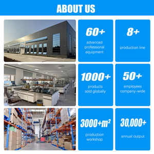 Nettoyant moteur liquide multi-usages haute performance personnalisé pour voitures, nettoyant pour carburateur et starter, bidon en fer 358g, durée de conservation 3 ans - Product Image 2