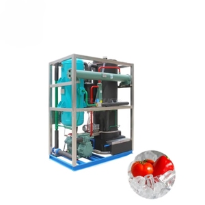 Machine à glace en tube : production de 100 kg/h, faible consommation d'énergie, acier inoxydable de qualité alimentaire - Product Image 6