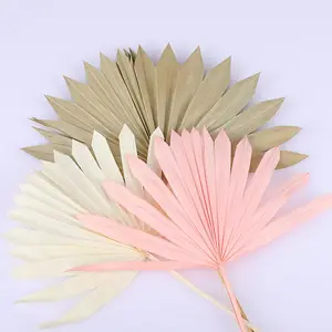 wholesale decorative flowers preserved dry white palm leaf natural palm leaves for wedding decor