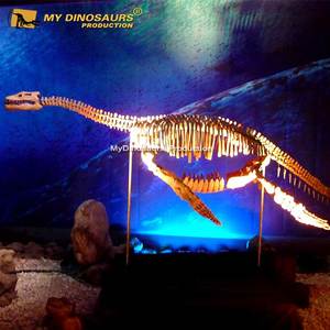 Mon Dinosaure XJ327 Attrayant, Squelette de Plesiosaure de Taille Naturelle à Suspendre - Product Image 6