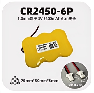 2p-CR2450 3p-CR2450 4p-CR2450 CR2477 CR2430 Batterie pour étiquette d'étagère électronique ESLs Étiquettes d'étagère numériques <span class=keywords><strong>DSLs</strong></span> - Product Image 3