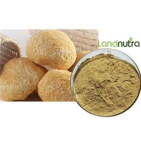 Polvo de extracto de hongos de alta calidad proporcionado por la fábrica Landnutra Hericium Erinaceus - Product Image 1