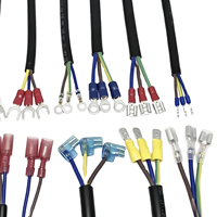 Harnais de câblage électrique personnalisé à âme en cuivre isolé en PVC pour applications informatiques