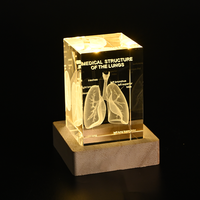 Cube de squelette anatomique humain gravé au laser 3D en cristal transparent, modèle de statue, presse-papiers, anatomie, neurologie, sciences médicales