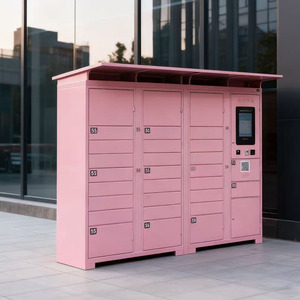 Boîtes de livraison intelligentes de <span class=keywords><strong>colis</strong></span> de collecte de système libre-service rose de protection solaire de communauté extérieure de fournisseur - Product Image 4