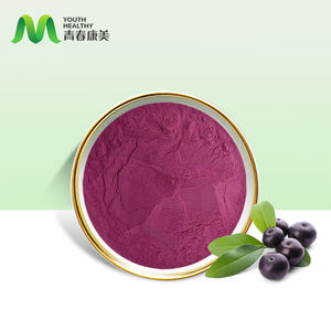 Pó de <span class=keywords><strong>Acai</strong></span> <span class=keywords><strong>Berry</strong></span> Certificado Halal Kosher HACCP a granel - Product Image 2