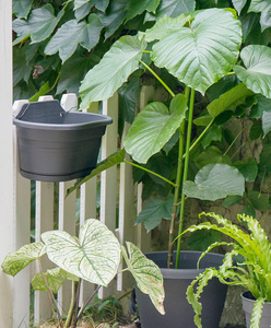 Detachable Plastic Hanging <strong>Wall</strong> Planter Self Watering Drainage Hole for Outdoor Home Garden Use Easy Cleaning Plant Maintenance - Product Image 3