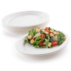 Disposable Plastic Plates Mascot Eco Friendly Round Recyclable Divided Disposable Plastic Plates