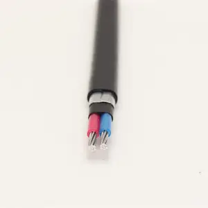 Kabel konstruksi kabel aluminium konsentris terisolasi XLPE 2x16mm untuk Kenya kabel daya listrik bawah tanah