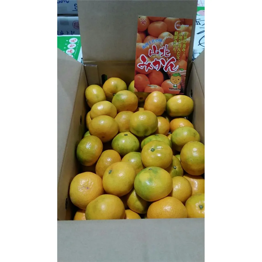 新鮮オレンジフルーツ日本の売れ筋味輸入価格