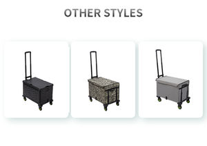 รถเข็นที๋นหยู T750R ทนทาน น้ำหนักเบา สำหรับใส่ของใช้ในบ้าน ช็อปปิ้ง ซูเปอร์มาร์เก็ต แบบพับเก็บได้ กันน้ำ - Product Image 4