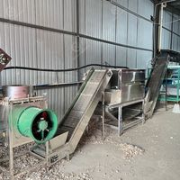 Ligne de machines industrielles à peler l'ail avec conception économe en eau, machine à peler l'ail pour usine de poudre d'ail
