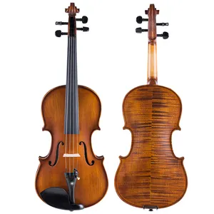 Vente chaude 4/4 Violon Étudiants Cordes Instrument Chinois Violon Fabricant Tigre Érable Dos Matériel Violon Avec Archet + Étui