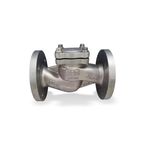 NUEVO Válvula de Retención Original BOACHEM-RXA con Extremos Bridados DN15-400 PN10-40 Función Anti-reflujo - Product Image 2