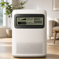 Écran LCD monochrome personnalisé pour purificateur d'air, générateur d'ozone, filtre HEPA, panneau d'affichage du nettoyeur, écran TN