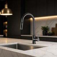 Robinet de cuisine à col de cygne avec douchette extractible, monocommande, finition bronze brossé, sans plomb, économie d'eau