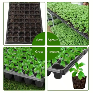 Plateau <span class=keywords><strong>de</strong></span> semis <span class=keywords><strong>de</strong></span> haute qualité à 21, 32, 50, 72, 98, 128, 200 alvéoles pour la germination et la <span class=keywords><strong>culture</strong></span> des graines - Product Image 3