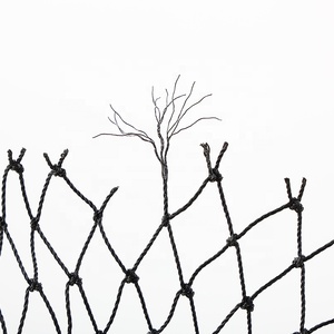 Chất lượng cao thắt nút HDPE bảo vệ chim Net chống <span class=keywords><strong>Bird</strong></span> lưới cho gạo lĩnh vực - Product Image 4