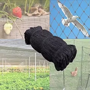 Bán Buôn Durable Polyester <span class=keywords><strong>Nylon</strong></span> HDPE <span class=keywords><strong>Bird</strong></span> Lưới Chống Xói Mòn Trắng Trong Suốt Thắt Nút Chống Chim Nhựa Lưới Cắt - Product Image 1