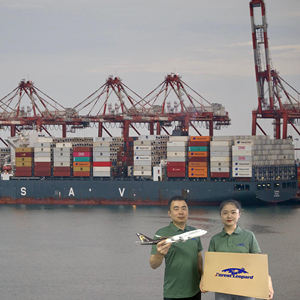 <span class=keywords><strong>DHL</strong></span> FedEx Экспресс-служба доставки, доставка по воздуху от двери до двери, экспедитор из Китая в США/Великобритания/Калифорния/Австралия - Product Image 1