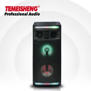 2022 temeheng dj低音双6.5英寸电源音箱扬声器专业pa有源电源派对扬声器