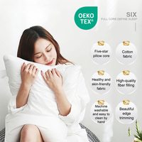 Oreiller d'hôtel en microfibre blanche douce certifié OEKO-TEX 48*74cm, géométrique, respirant, confortable pour dormir, taies d'oreiller lavables