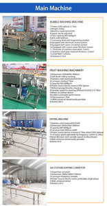 Commercial Avocado Fruit Cleaning Drying Sorting Waxing Processing Line Fresh Fruit Mango <strong>Apple</strong> Cleaning <strong>Machine</strong> - Product Image 6