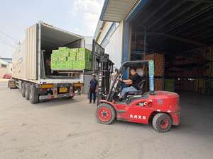 Toptan fiyat yüksek kalite tam sarımsak taze sebze satılık 100% organik saf beyaz sarımsak - Product Image 6