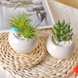 Vaso in Ceramica Smaltata Grande per Piante <span class=keywords><strong>Succulente</strong></span>, Ornamento Decorativo Creativo per la Casa - Product Image 4