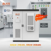 Gabinete de Almacenamiento de Energía LiFePO4 para Exteriores MATE BESS con Enfriamiento por Aire, 100kW 215kWh 125kW 253kWh, con Certificación CE e IOS, para Energía de Respaldo de Emergencia en Hospitales