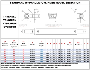 Fabricant chinois propose un vérin à piston à double <span class=keywords><strong>action</strong></span> hydraulique à bas prix. - Product Image 4