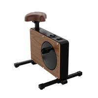 2025 professionnel pliable à sens unique 4KG roue magnétique Mini boîte d'exercice vélo pour une utilisation de gymnastique à domicile avec tablette vélo de filature