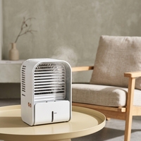 Vaporisateur rechargeable personnalisé Mini humidificateur électrique portable Alimentation USB Brume d'eau Ventilateur d'été Brume de refroidissement Batterie 4000mAh