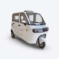 Tricycle Électrique Stable et Durable pour Passagers, Mini Taxi Fermé, Tuk-tuk Électrique, Moto Électrique