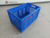 Caisses de stockage et de logistique pour fruits et légumes LYPALLETS, caisses à légumes de qualité alimentaire, caisses en plastique pliables/paniers