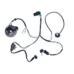 อะไหล่รถมอเตอร์ไซค์ออฟโรดแบบอันเดอร์โบน 48Q จialeing JH70 90 110 ซีซี เครื่องยนต์สตาร์ทเท้า ระบบจุดระเบิดไฟฟ้า - Product Image 4