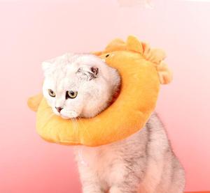 ปลอกคอสัตว์เลี้ยงผ้านุ่มลายสิงโตและกุ้ง - Product Image 3