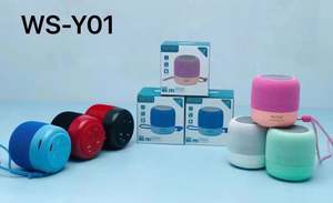 <span class=keywords><strong>Nouveautés</strong></span> <span class=keywords><strong>2022</strong></span> Ventes chaudes WSTER WSY01 Prise en charge USB Carte TF Radio FM Mini haut-parleur numérique sans fil portable - Product Image 4