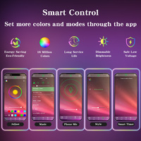 Tira de Luz LED Inteligente Flexible de Neón RGB RGBW, 5m 10m 12V 24V, Longitud Personalizada, Letrero de Neón de Silicona 12V 24V IP67 para Cajas de Luz de Tiendas
