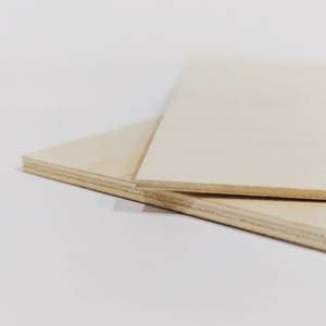 <span class=keywords><strong>Tablero</strong></span> de <span class=keywords><strong>Contrachapado</strong></span> para Encofrado, Recubierto con Película Fenólica Marrón, Impermeable y Antideslizante, con Malla Metálica - Product Image 1